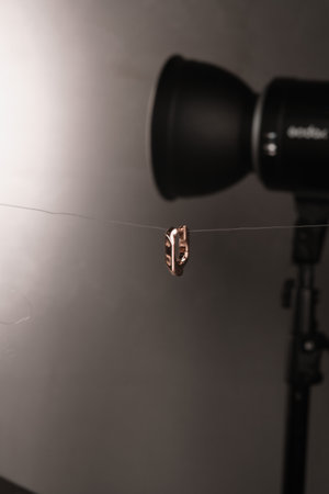 Exquisite Handmade Gold and Diamond Jewelryの写真素材