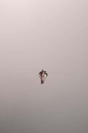 Sparkling Jewelry Sets: Gold, Diamonds, and Gemstonesの写真素材