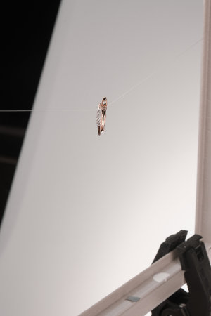 Beautiful Gold and Diamond Cocktail Jewelryの写真素材