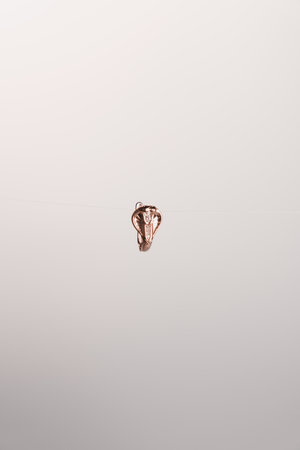 Stylish Gold and Diamond Jewelry for Modern Womenの写真素材