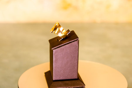 Sparkling Diamond Necklaces and Gold Pendantsの写真素材