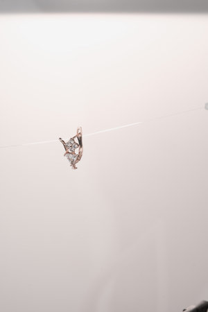 Handcrafted Luxury Jewelry with Diamonds and Goldの写真素材