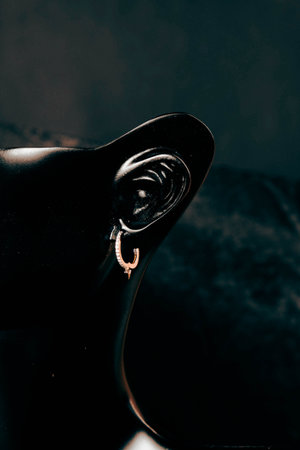 Diamond Earrings with Gold Settingの写真素材