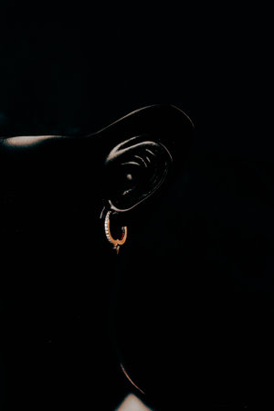 Precious Gold and Diamond Jewelry Setsの写真素材