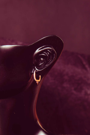 Elegant jewelry, Jewels set with gemstones.の写真素材