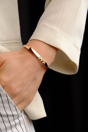 stylish jewelry like silver, gold, diamonds, precious stones.