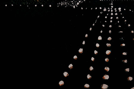 acrylic and oil background Abstract painted brush strokes texture backgroundの写真素材