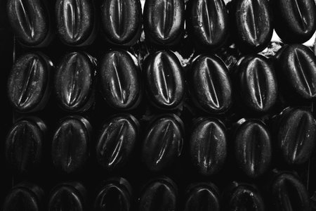 a lot of variety chocolate pralinesの写真素材