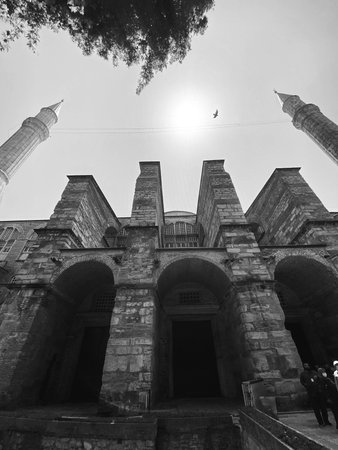 Hagia sophia mosque in istanbul city turkeyの写真素材