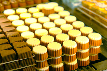 a lot of variety chocolate pralinesの写真素材