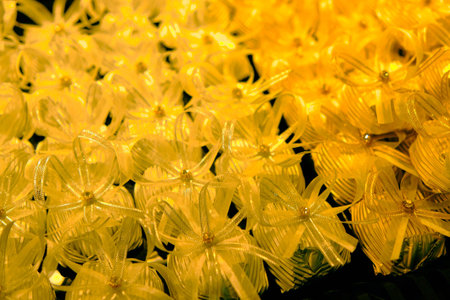 a lot of variety chocolate pralinesの写真素材