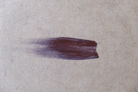 acrylic and oil background Abstract painted brush strokes texture backgroundの写真素材