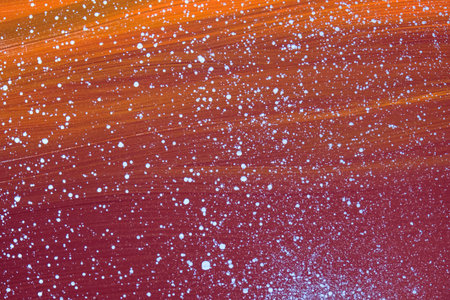 acrylic and oil background Abstract painted brush strokes texture backgroundの写真素材