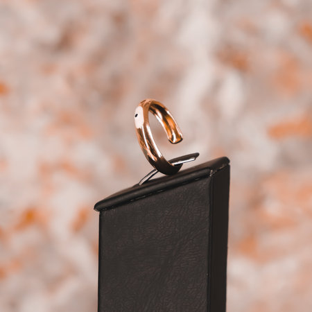 Sparkling Diamond Necklaces and Gold Pendantsの写真素材