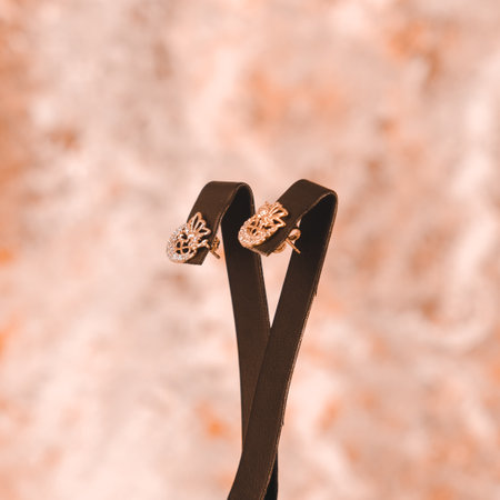 Brilliant Diamond Necklaces and Fine Gold Jewelryの写真素材