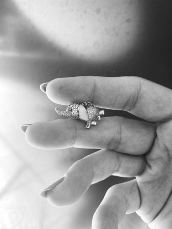 Timeless Luxury Jewelry: Diamonds and Gold Designsの写真素材