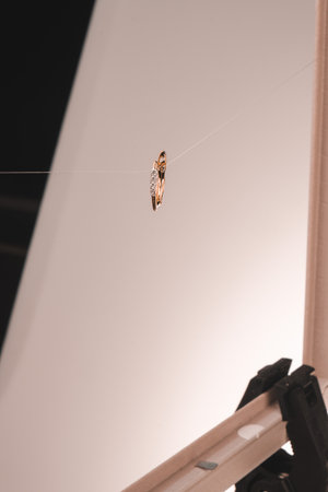 Precious Gold and Diamond Jewelry Setsの写真素材