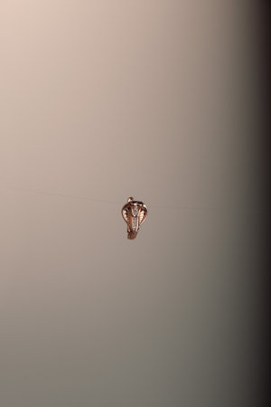 Handmade precious jewelry. Bijouterie and jewelery gold and diamonds for womenの写真素材