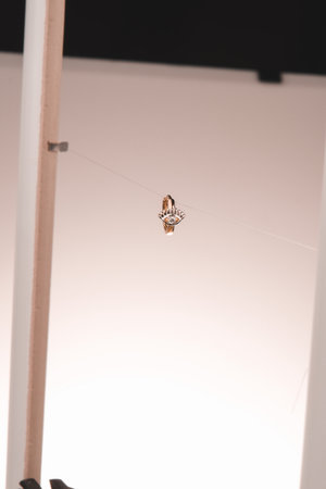 Radiant Gold and Diamond Jewelry for Special Momentsの写真素材