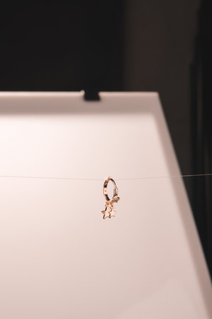 Gold and Diamond Jewelry for Womenの写真素材