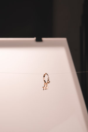 Stylish jewellery, diamonds and precious stones.の写真素材