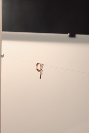 Brilliant Diamond Necklaces and Fine Gold Jewelryの写真素材