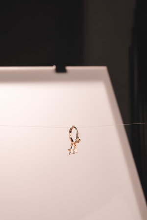 Glimmering Diamond and Gold Jewelry for Every Styleの写真素材