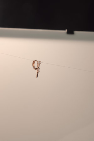 Elegant jewelry, Jewels set with gemstones.の写真素材