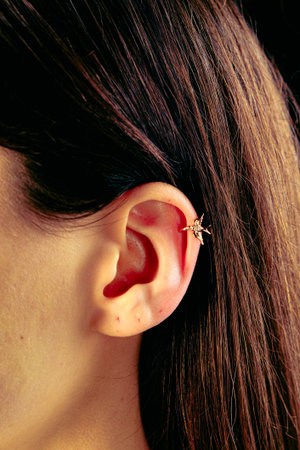 Elegant jewelry, Jewels set with gemstones.の写真素材