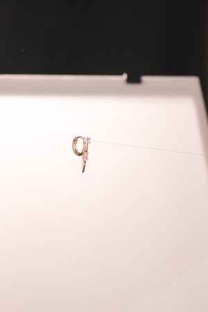 Stylish Gold and Diamond Jewelry for Modern Womenの写真素材