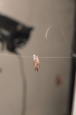 Custom-Made Gold and Diamond Jewelry for Special Momentsの写真素材