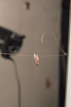 Designer Jewelry: Gold, Diamonds, and Gemstonesの写真素材