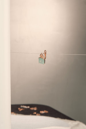 Exquisite Diamond Jewelry with Gold Accentsの写真素材