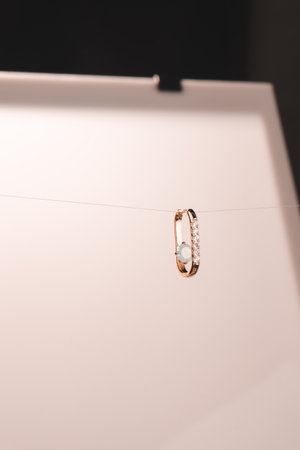 Elegant jewelry, Jewels set with gemstones.の写真素材