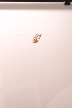 Stylish jewellery, diamonds and precious stones.
