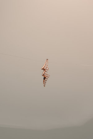 Glimmering Diamond and Gold Jewelry for Every Styleの写真素材