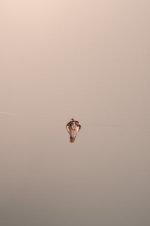 Chic Gold and Diamond Jewelry for Everyday Eleganceの写真素材