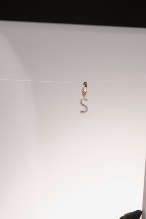 Elegant jewelry, Jewels set with gemstones.の写真素材