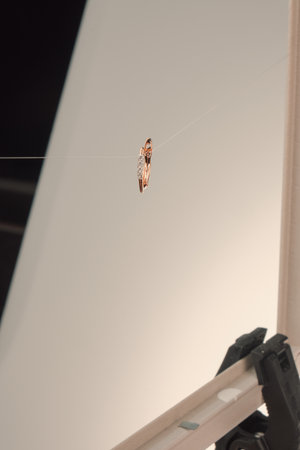 Elegant Gold and Diamond Rings with Gemstonesの写真素材