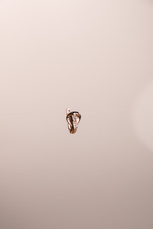 Luxurious Gold and Diamond Jewelry for Anniversary Giftsの写真素材