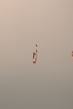 Stunning Gold and Diamond Bridal Jewelry Setsの写真素材