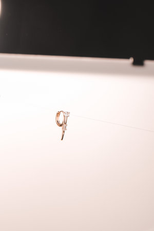 Beautiful Diamond Earrings with Gold Settingの写真素材