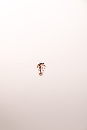 Beautiful golden jewelery with precious stones and diamondsの写真素材