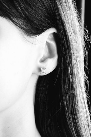 Glamorous Gold Jewelry with Sparkling Diamondsの写真素材