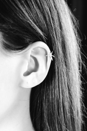 Beautiful Earrings with Gold Settingの写真素材