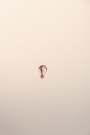 Exquisite Handmade Gold and Diamond Jewelryの写真素材