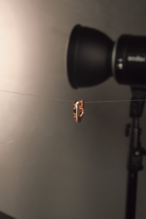 Stunning Gold and Diamond Jewelry for Womenの写真素材