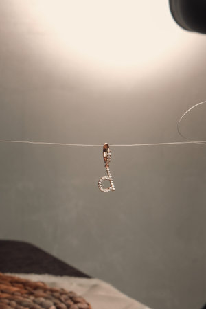 Exquisite Handmade Gold and Diamond Jewelryの写真素材