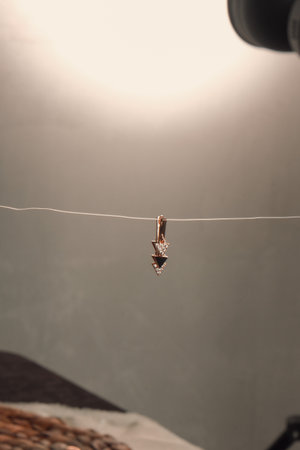 Elegant Diamond and Gold Jewelry for Womenの写真素材