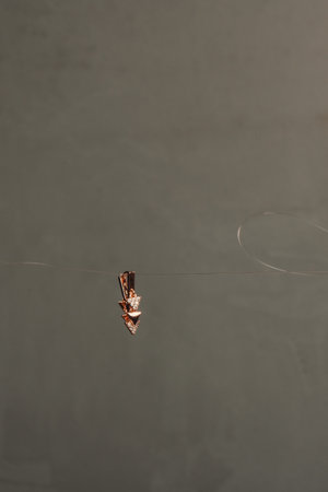 Premium Diamond and Gold Jewelry for Womenの写真素材